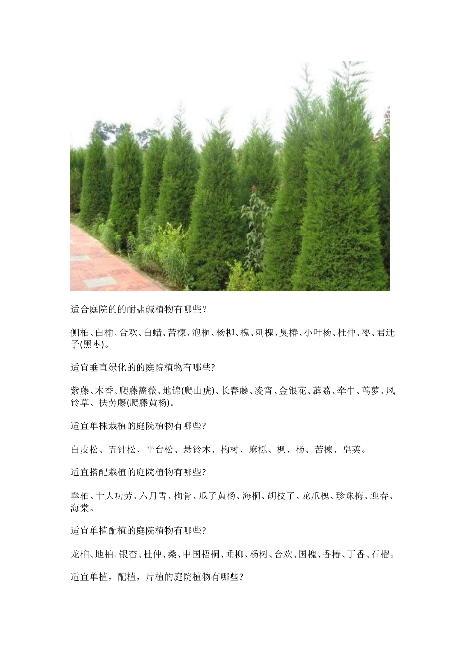 哪些植物适合庭院栽种_第3页