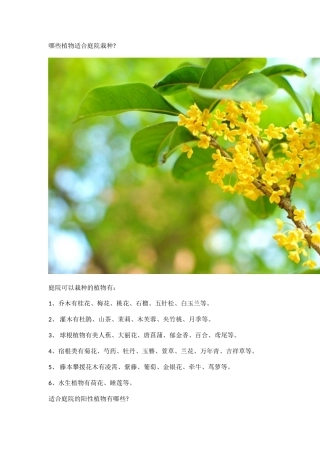 哪些植物适合庭院栽种