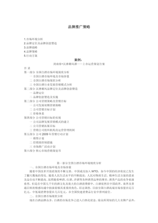 品牌推广策略