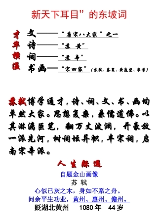唐诗宋词选读——东坡词(讲课用精装版)