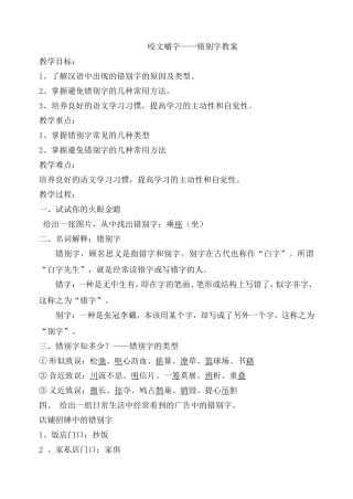 咬文嚼字——错别字教案