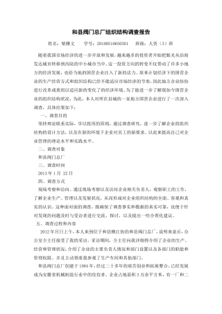 和县阀门总厂组织结构调查报告