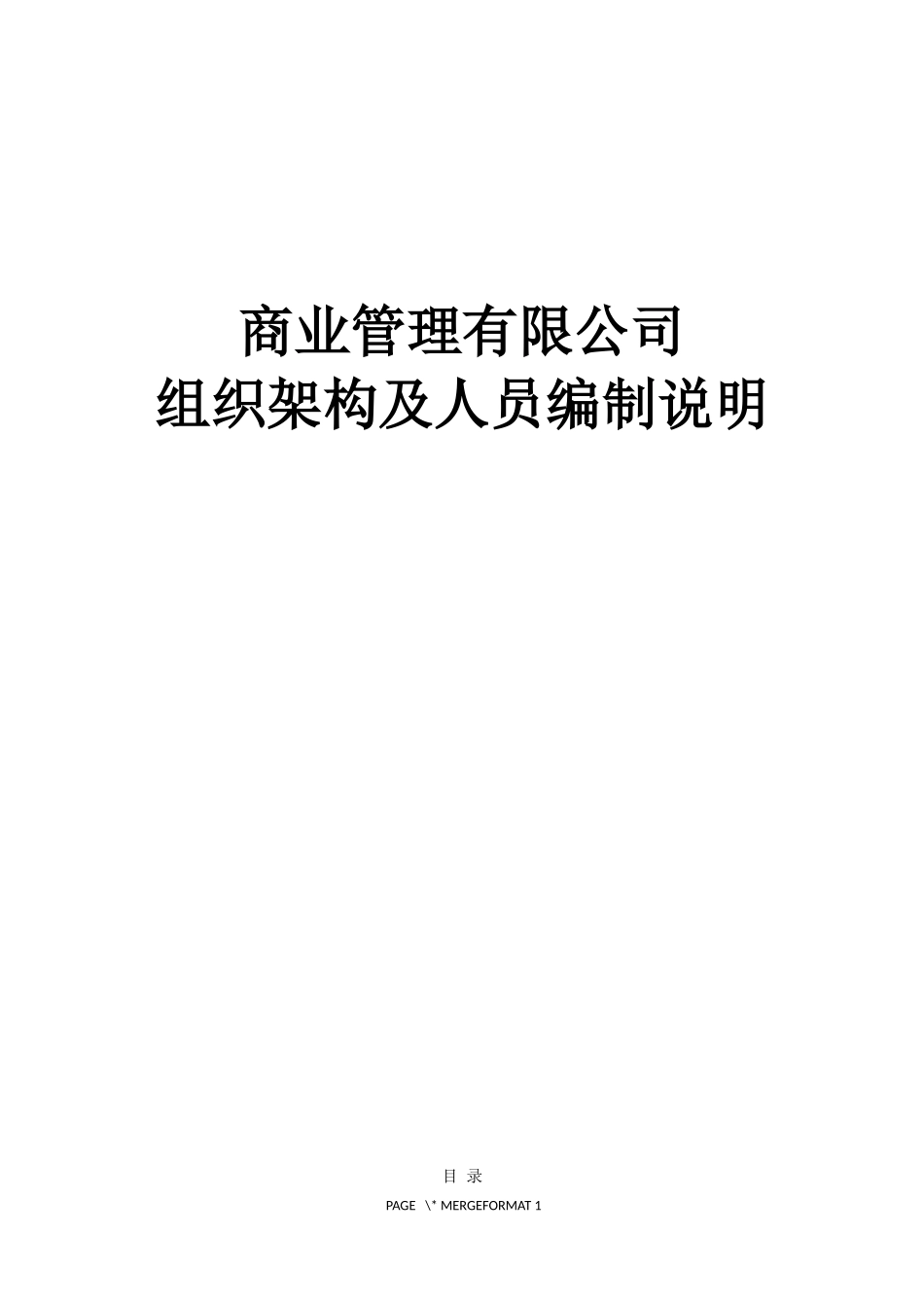 商业运营管理公司人员架构及岗位说明_第1页