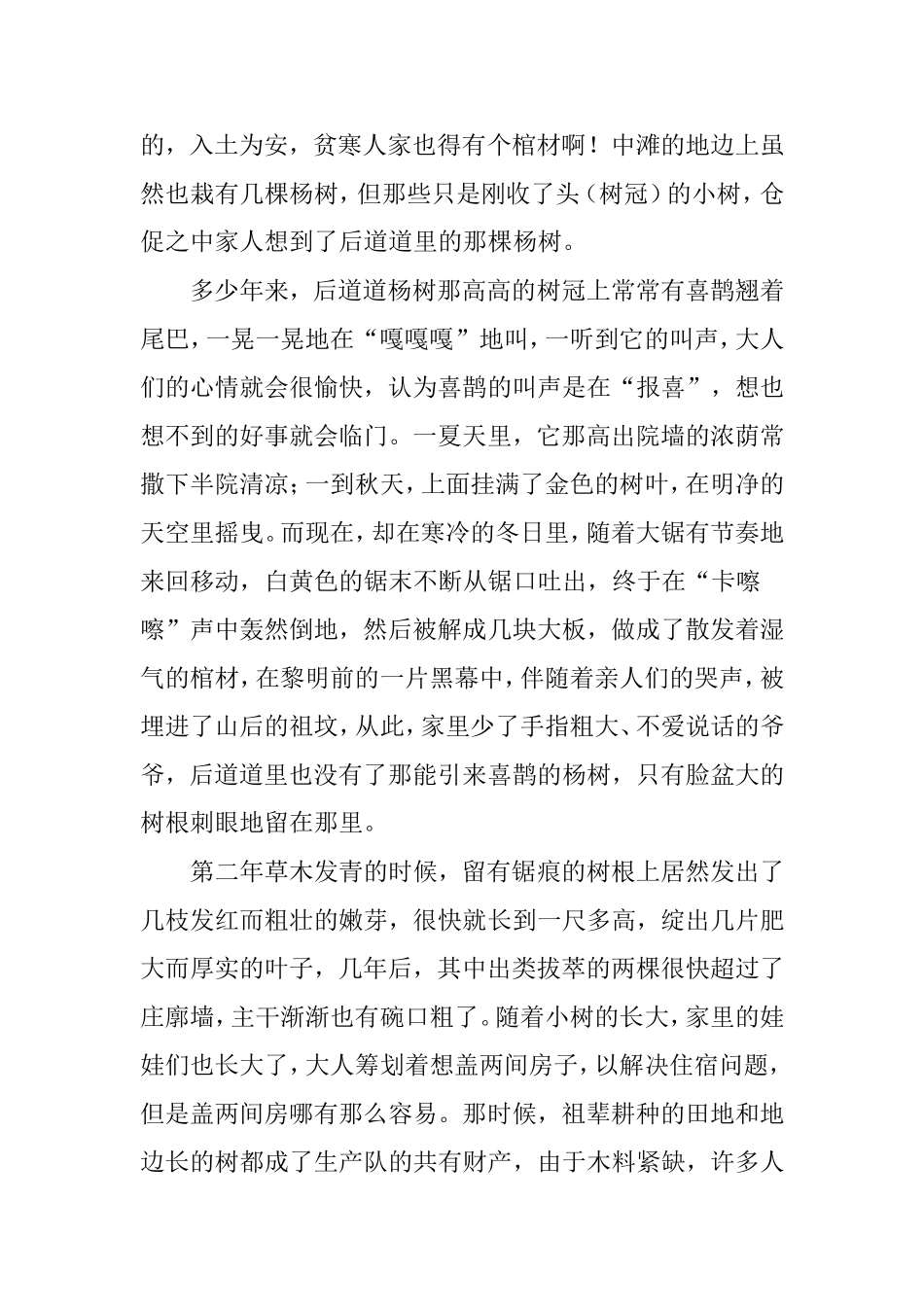 后道道里的柳树_第2页