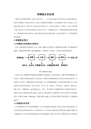 味精废水的处理