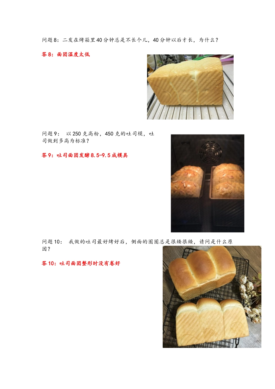 吐司疑难解答_第2页