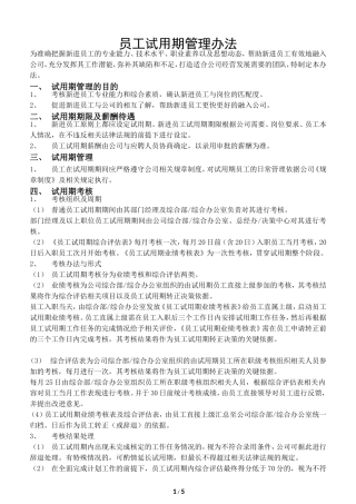 员工试用期考核管理办法(定稿)