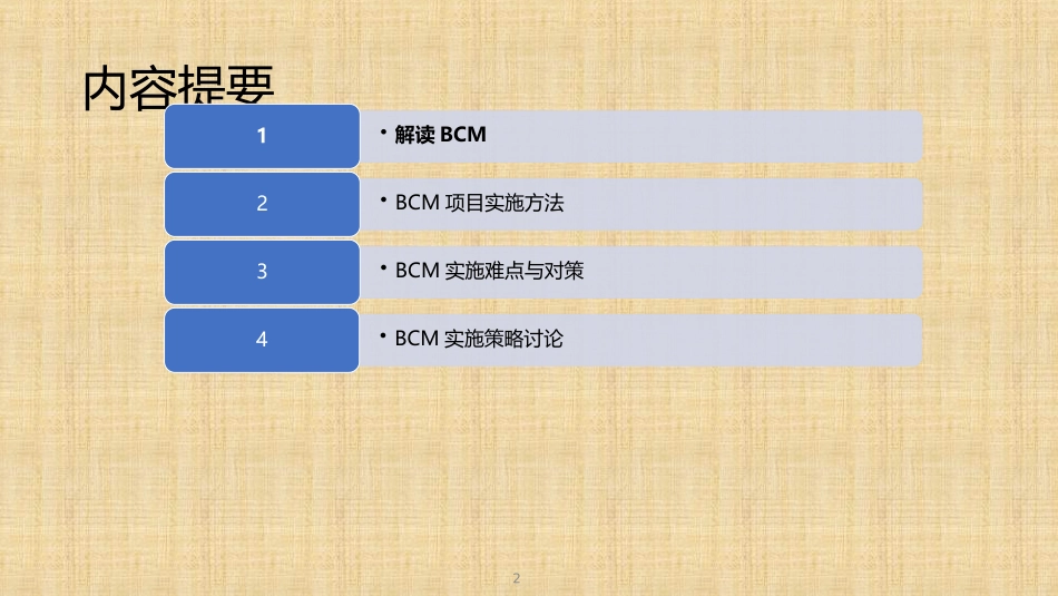 BCM实施指南_第2页