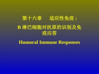 B淋巴细胞对抗原的识别及免疫应答