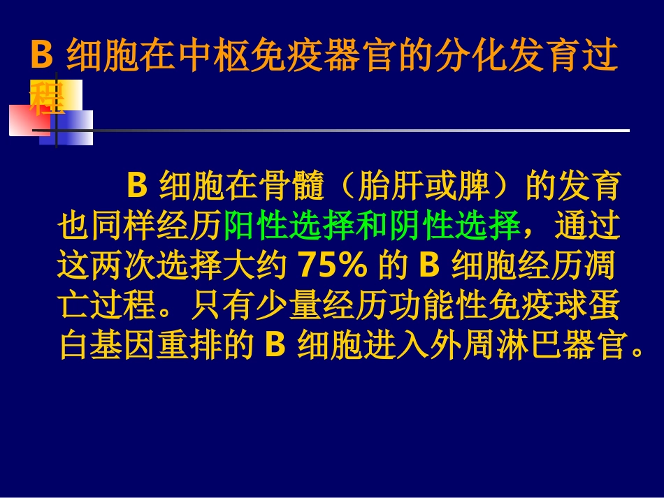 B淋巴细胞发育_第3页