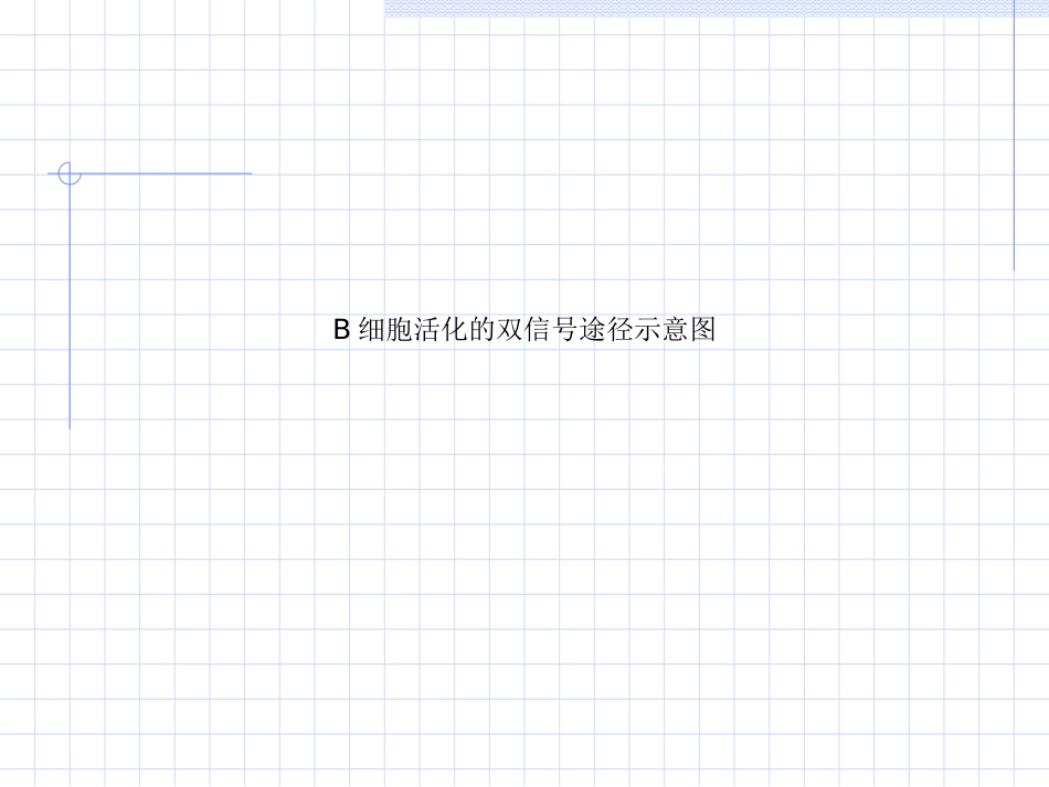 B细胞活化的双信号途径示意图_第1页