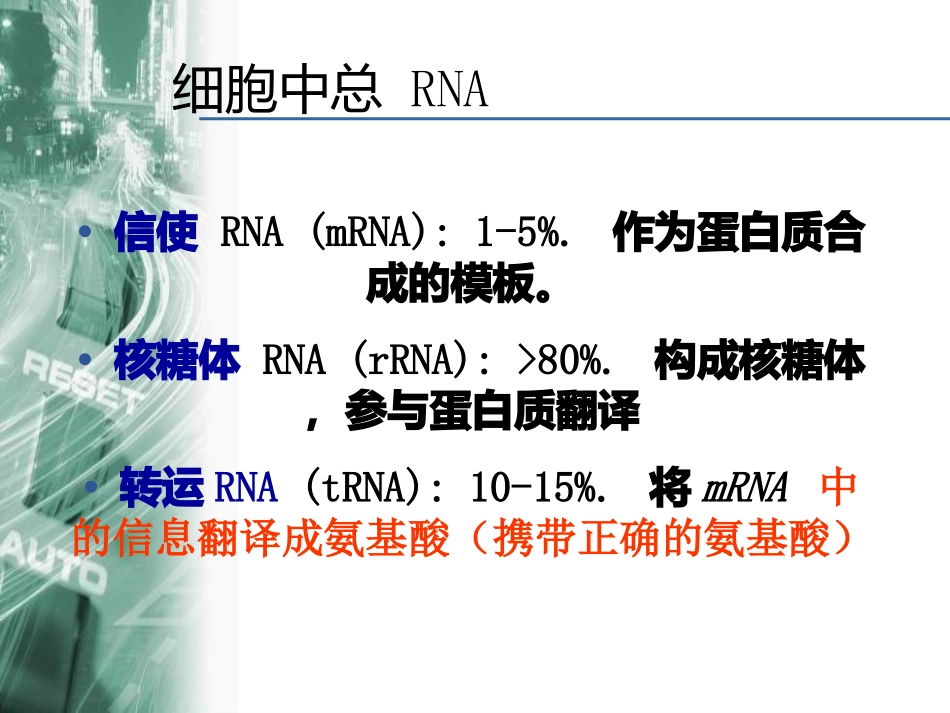 cDNA文库的构建和筛选_第3页
