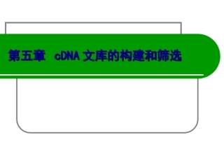 cDNA文库的构建和筛选
