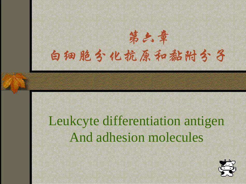 CD分子与黏附分子_第1页