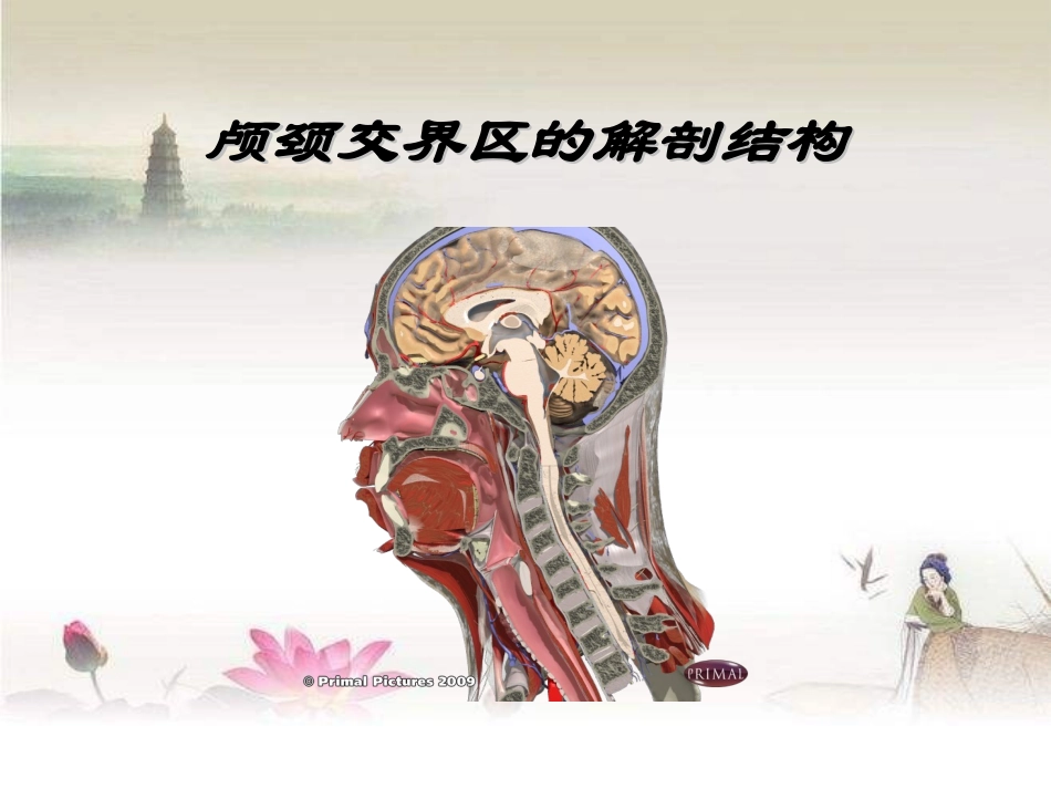 Chiari畸形_第3页