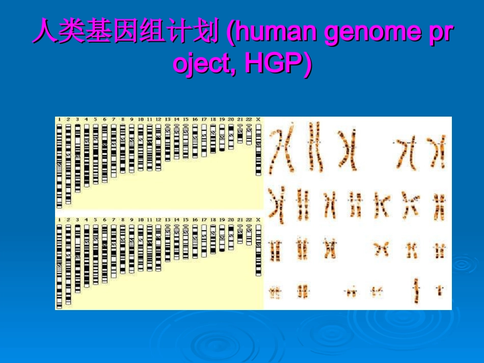 DNA测序原理_第2页