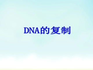 DNA的复制动画