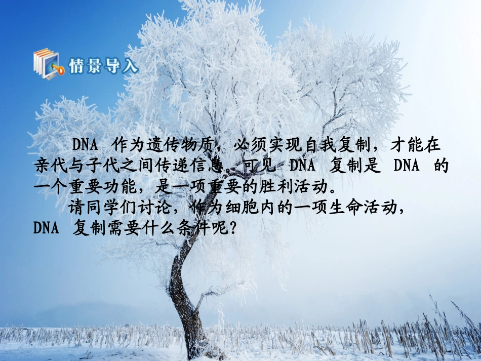 dna的复制课件_第2页