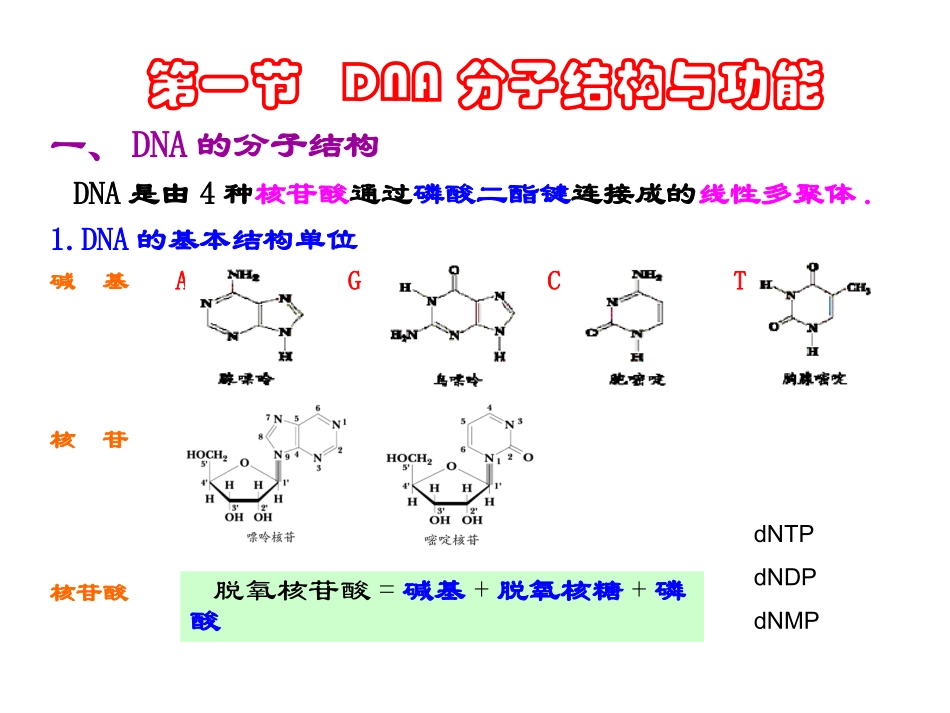 DNA多态性分析基础详解_第3页