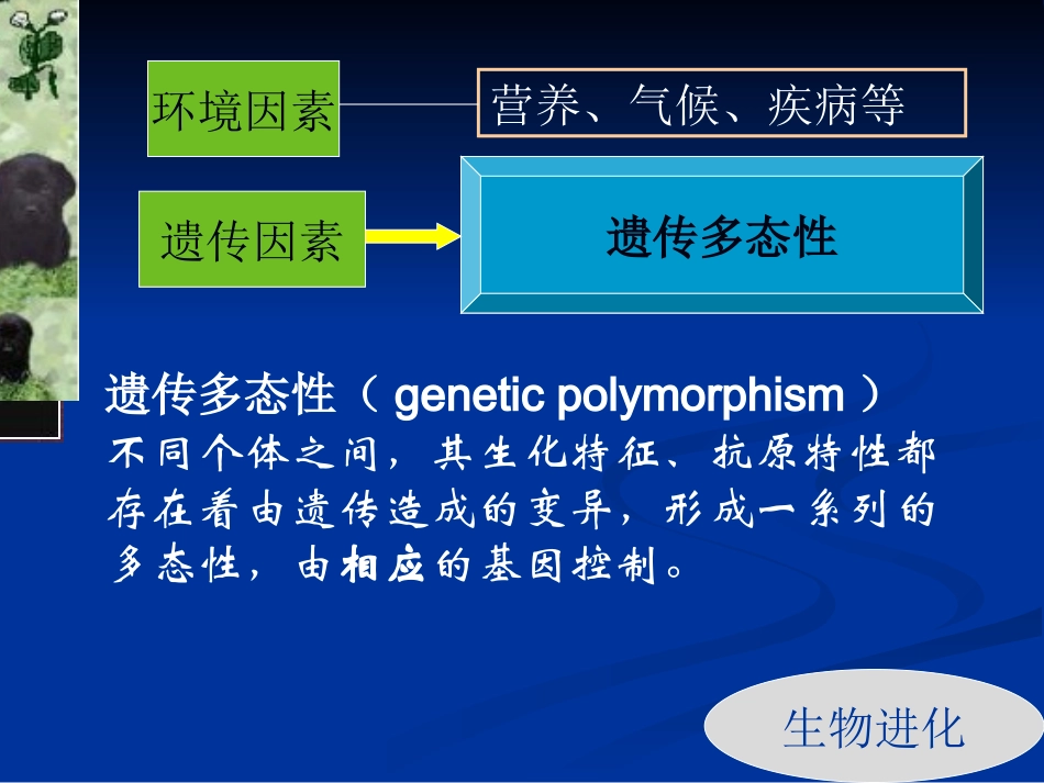 DNA多态性及其分析_第3页