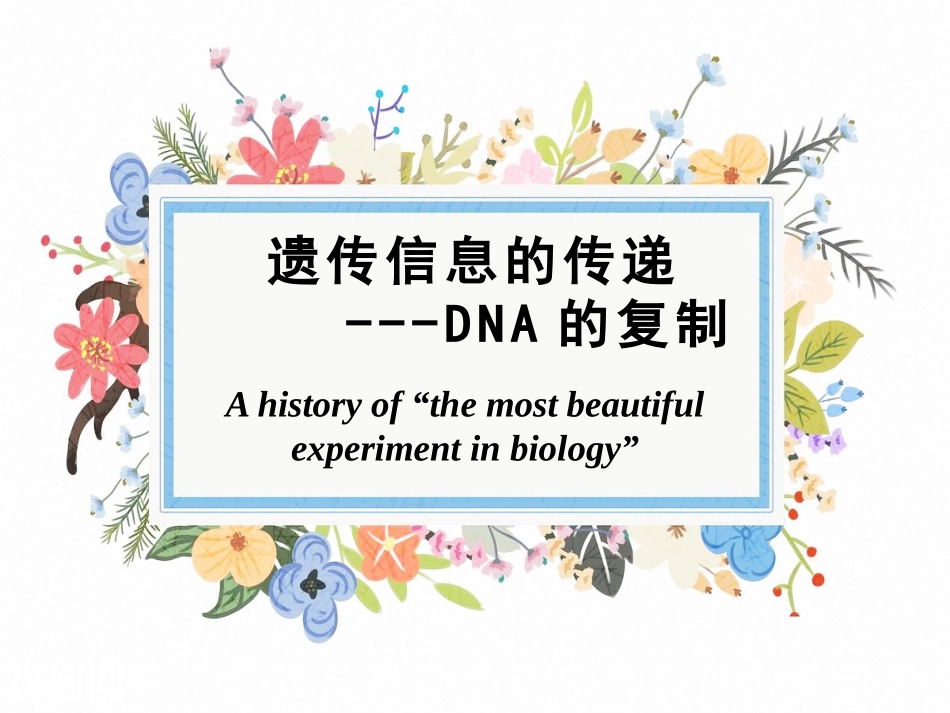 DNA分子的复制_第2页