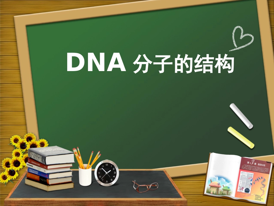 DNA分子的结构_第1页