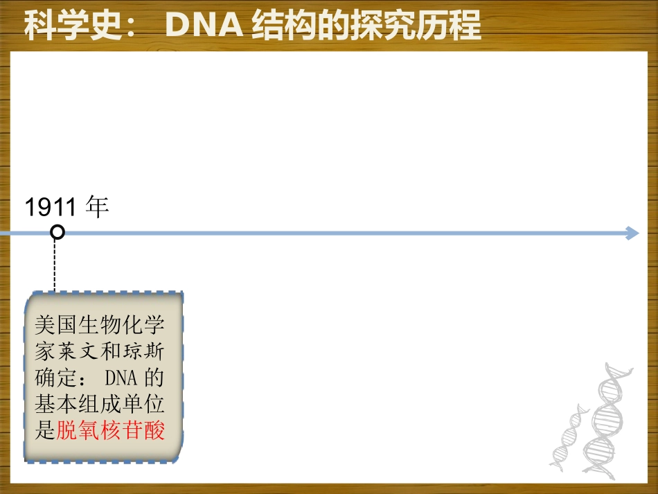DNA分子的结构_第3页