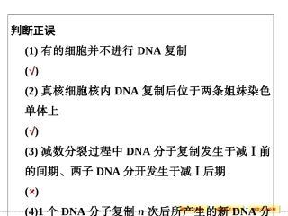 dna复制习题解读