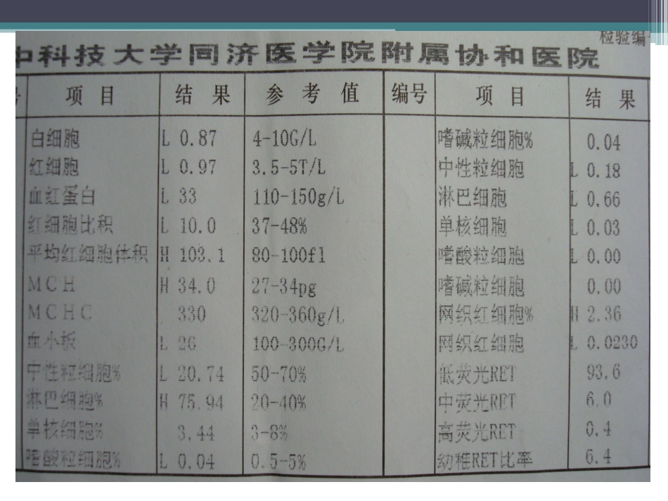 DNA合成障碍性贫血_第2页