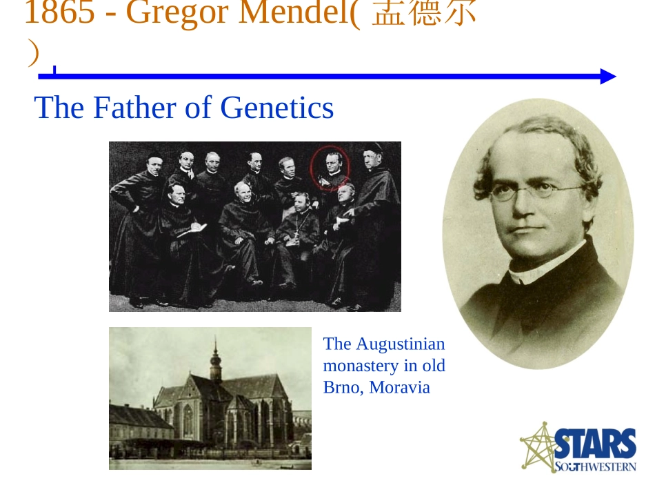 DNA技术的发展简史_第2页