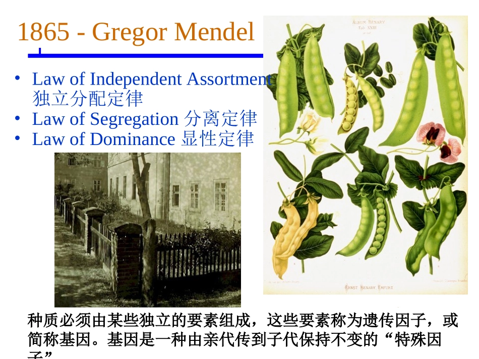 DNA技术的发展简史_第3页