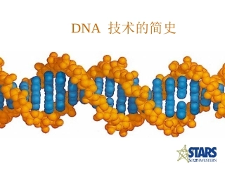 DNA技术的发展简史