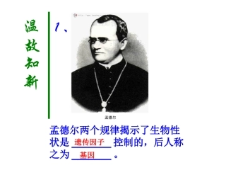 DNA结构很好用