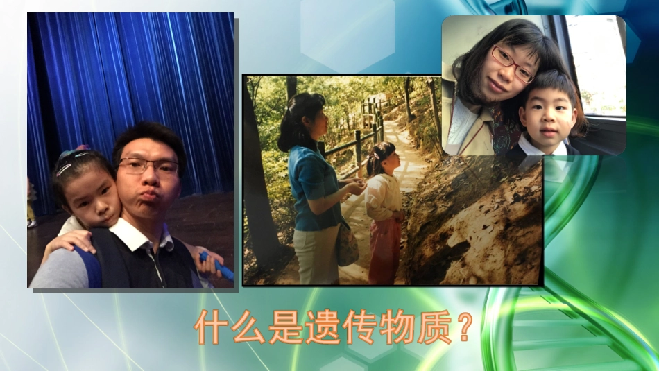 DNA是遗传物质的经典实验_第2页