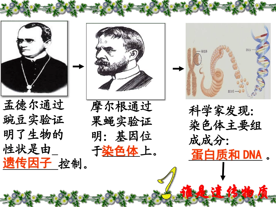 DNA是主要的遗传物质_第2页