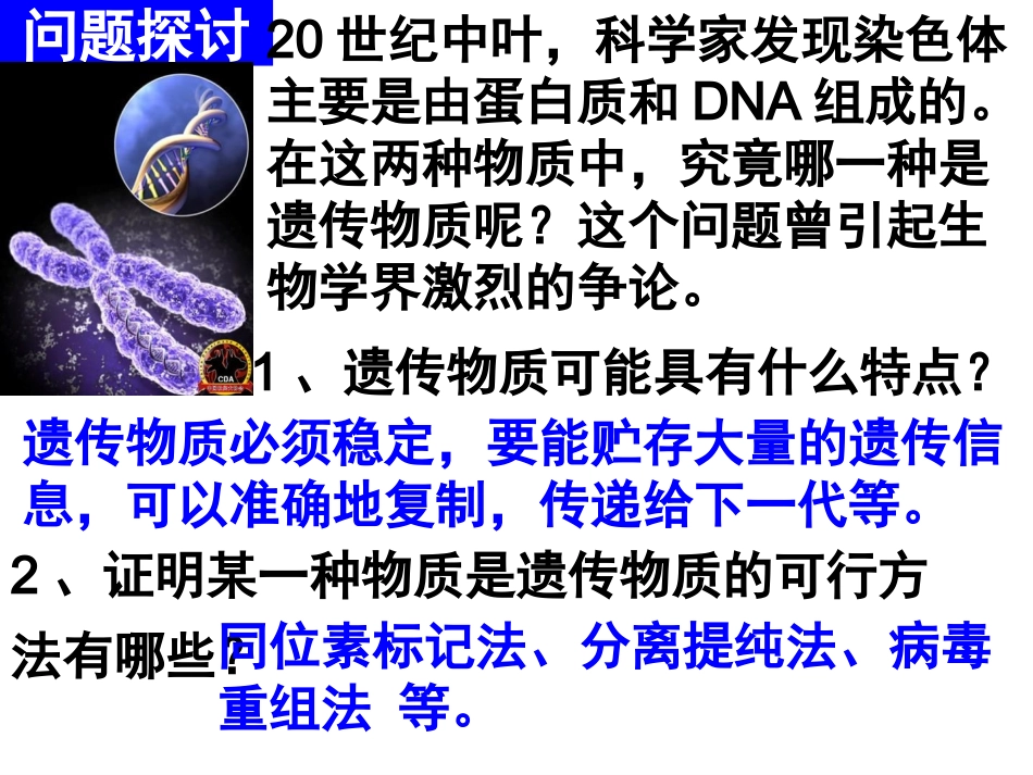 DNA是主要的遗传物质_第3页