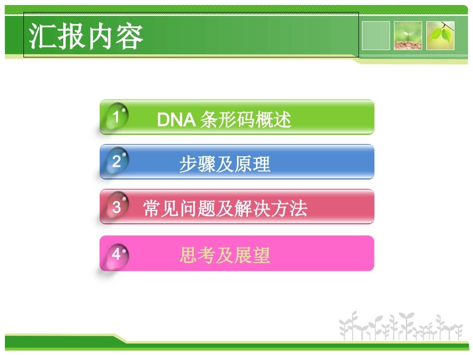 DNA条形码植物_第2页