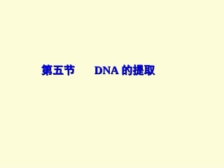 DNA序列测定精