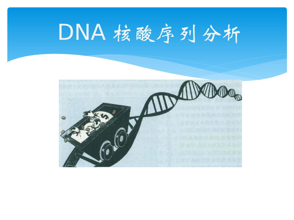 DNA序列分析_第1页
