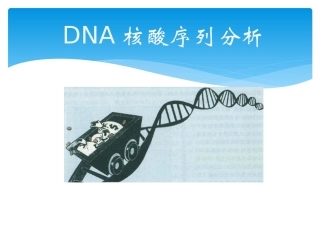 DNA序列分析