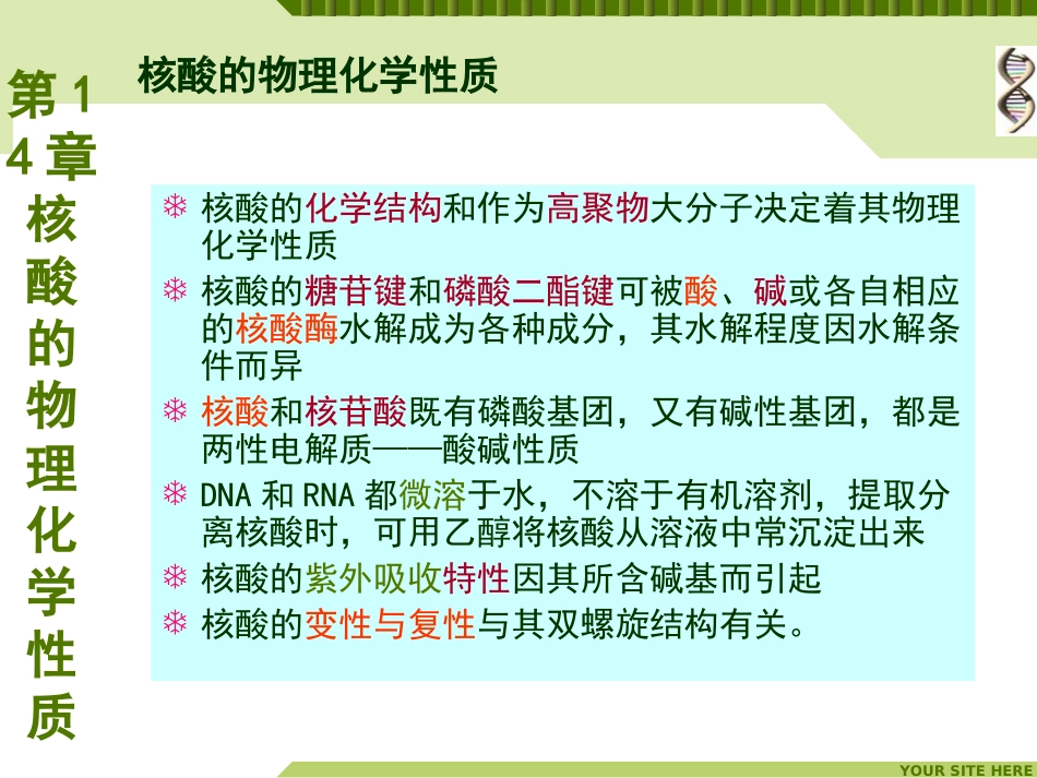DNA与RNA的差异_第3页