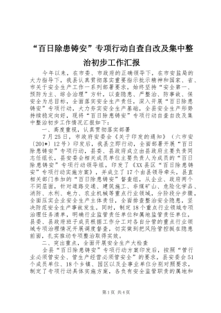 百日除患铸安专项行动自查自改及集中整治初步工作汇报