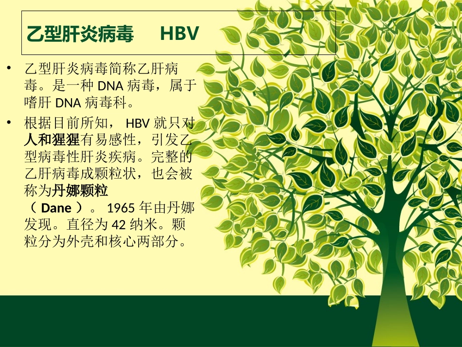 hbv病毒解析_第2页