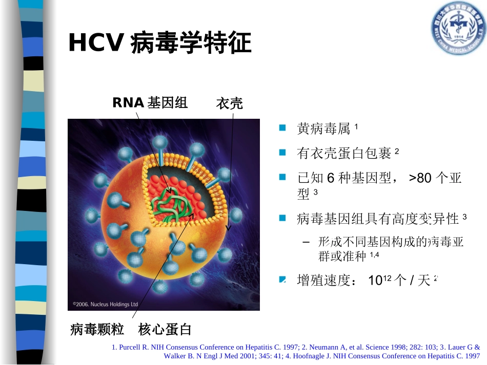 HCV抗体检测介绍解析_第3页