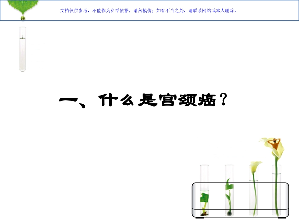 HPV感染与宫颈癌课件_第3页