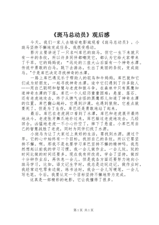 斑马总动员观后感