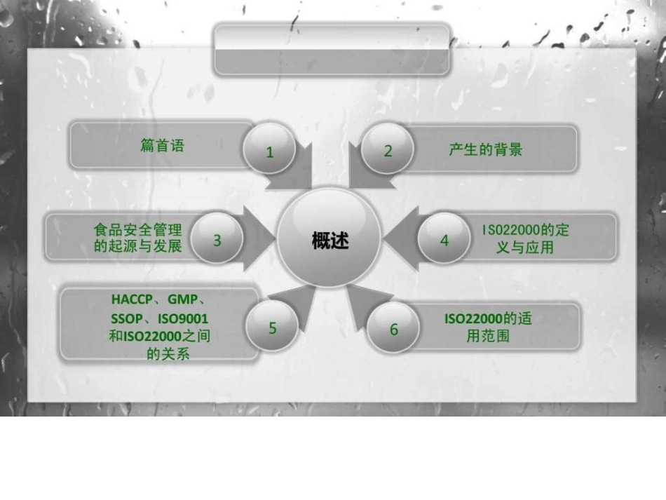 iso2食品安全管理体系_第3页