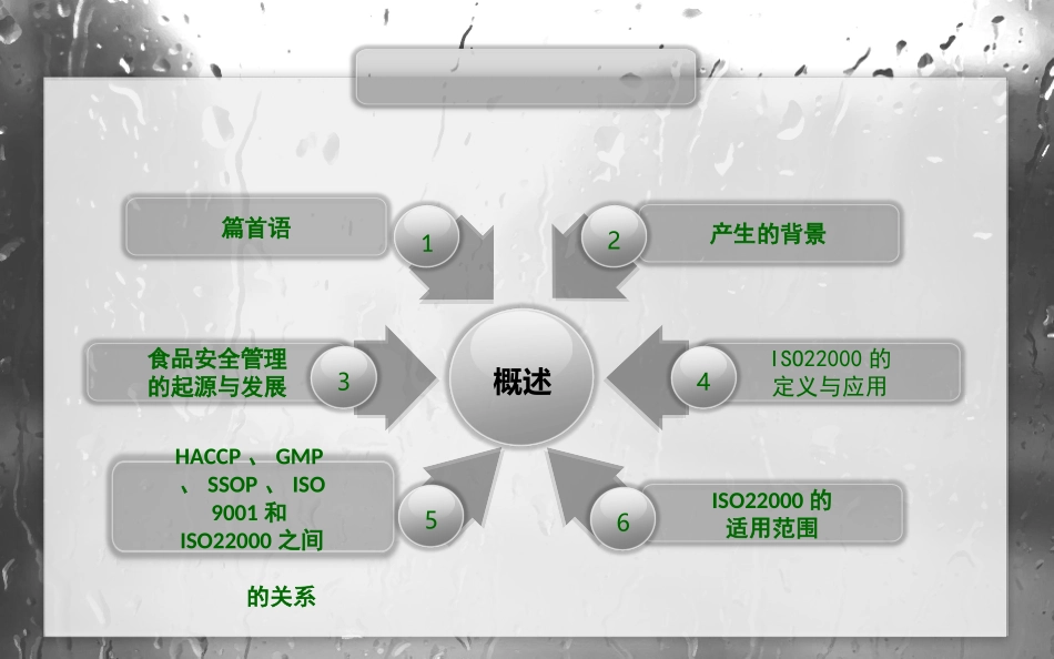 ISO2食品安全管理体系解读_第3页