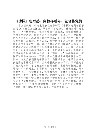 榜样观后感向榜样看齐做合格党员