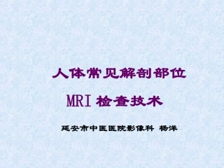 MR检查技术